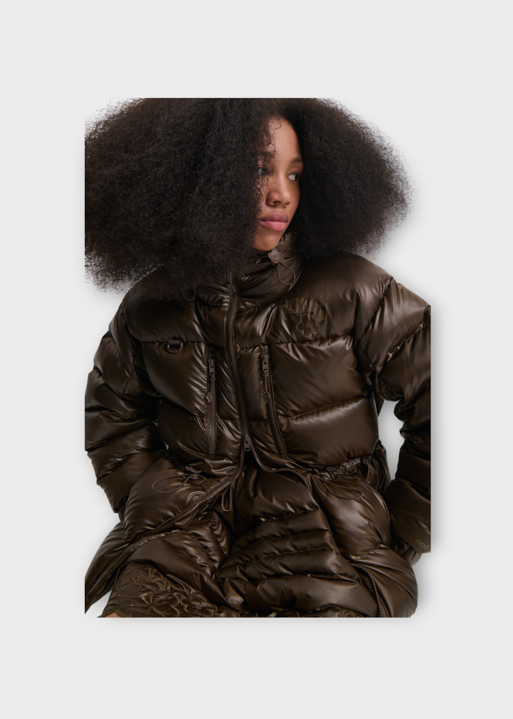 Cecilie Bahnsen Cecilie Bahnsen Jacket, Brown, Cecilie Bahnsen x North Face Puffer Megi 2008 Himalayan Jacket In Soil Brown