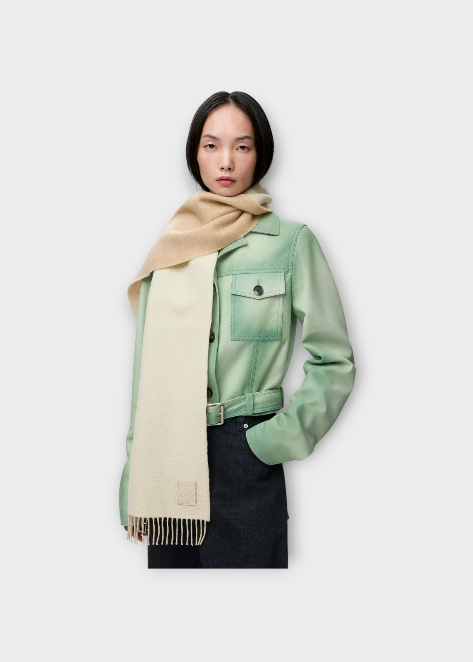 Loewe Loewe Scarf, Multi, Wool & Cashmere 28X180 Fringed Scarf In Ivory & Sand