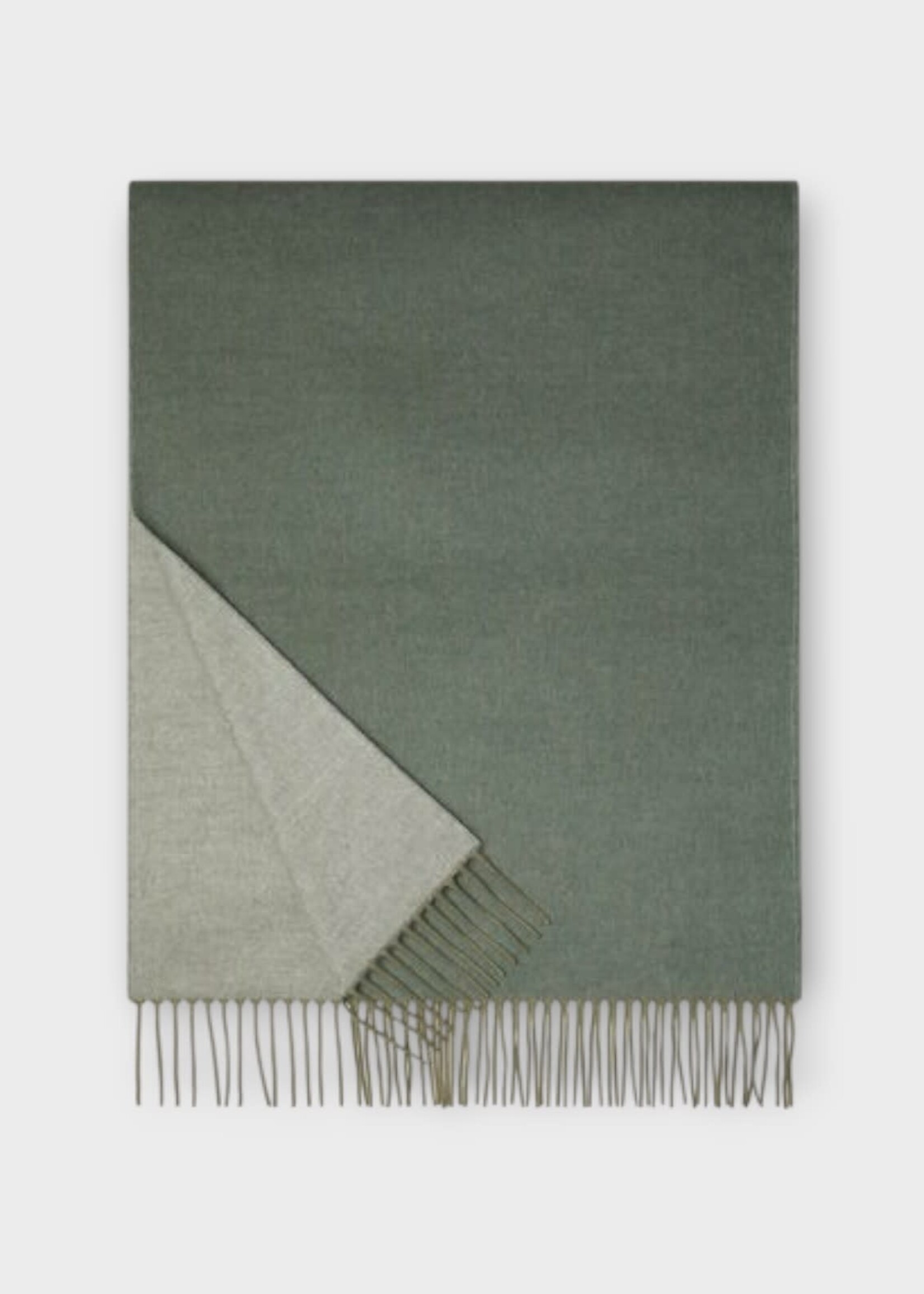 Loro Piana Loro Piana Scarf, Multi, Two Tone Baby Cashmere Fringed Scarf In Grey Melange & Dark Sage