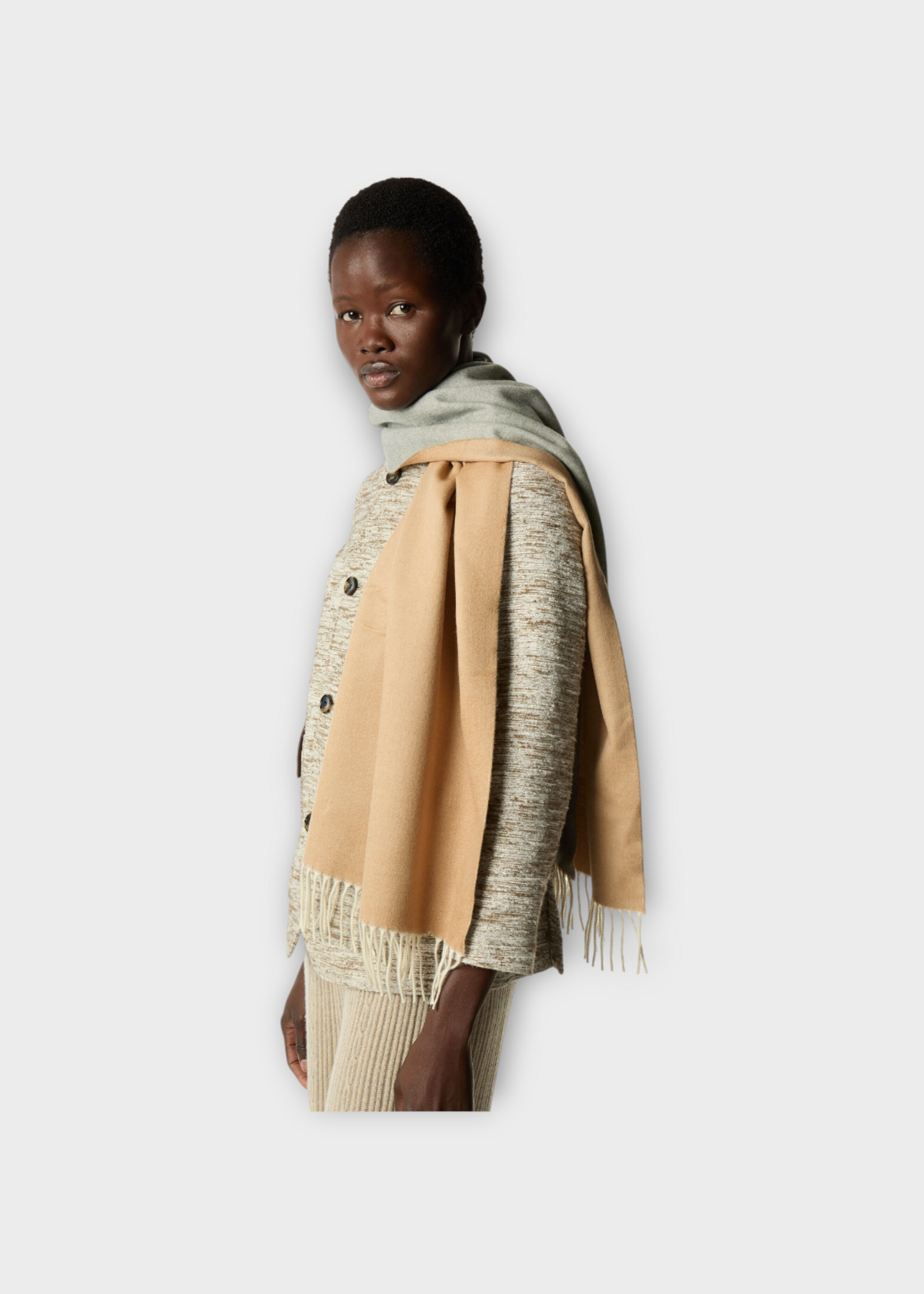 Loro Piana Loro Piana Scarf, Multi, Two Tone Baby Cashmere Fringed Scarf In Camel & Flannel Melange
