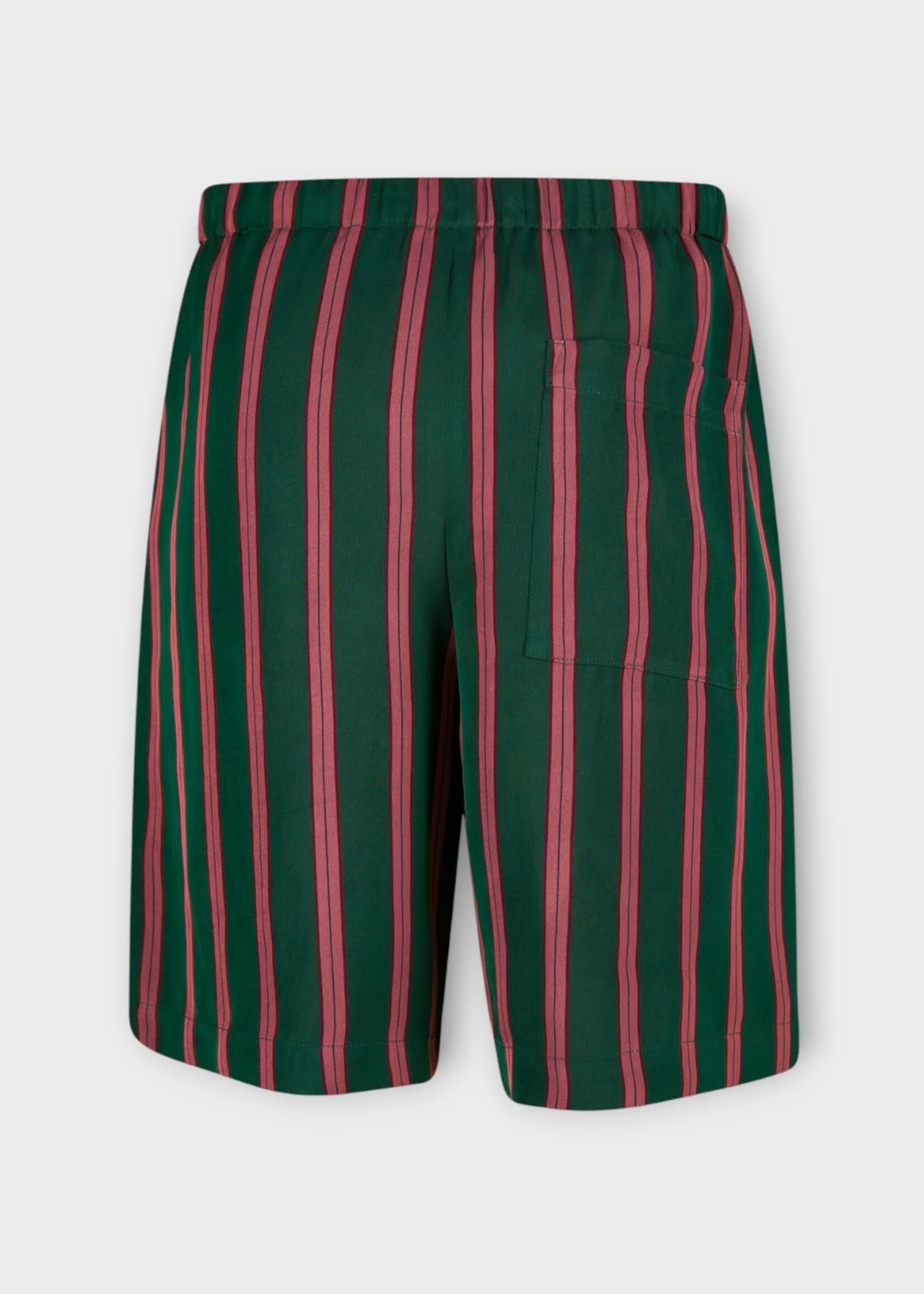 Dries Van Noten Dries Van Noten Shorts, Green, Piperi Silk Mix Fluid Striped Shorts in Bottle