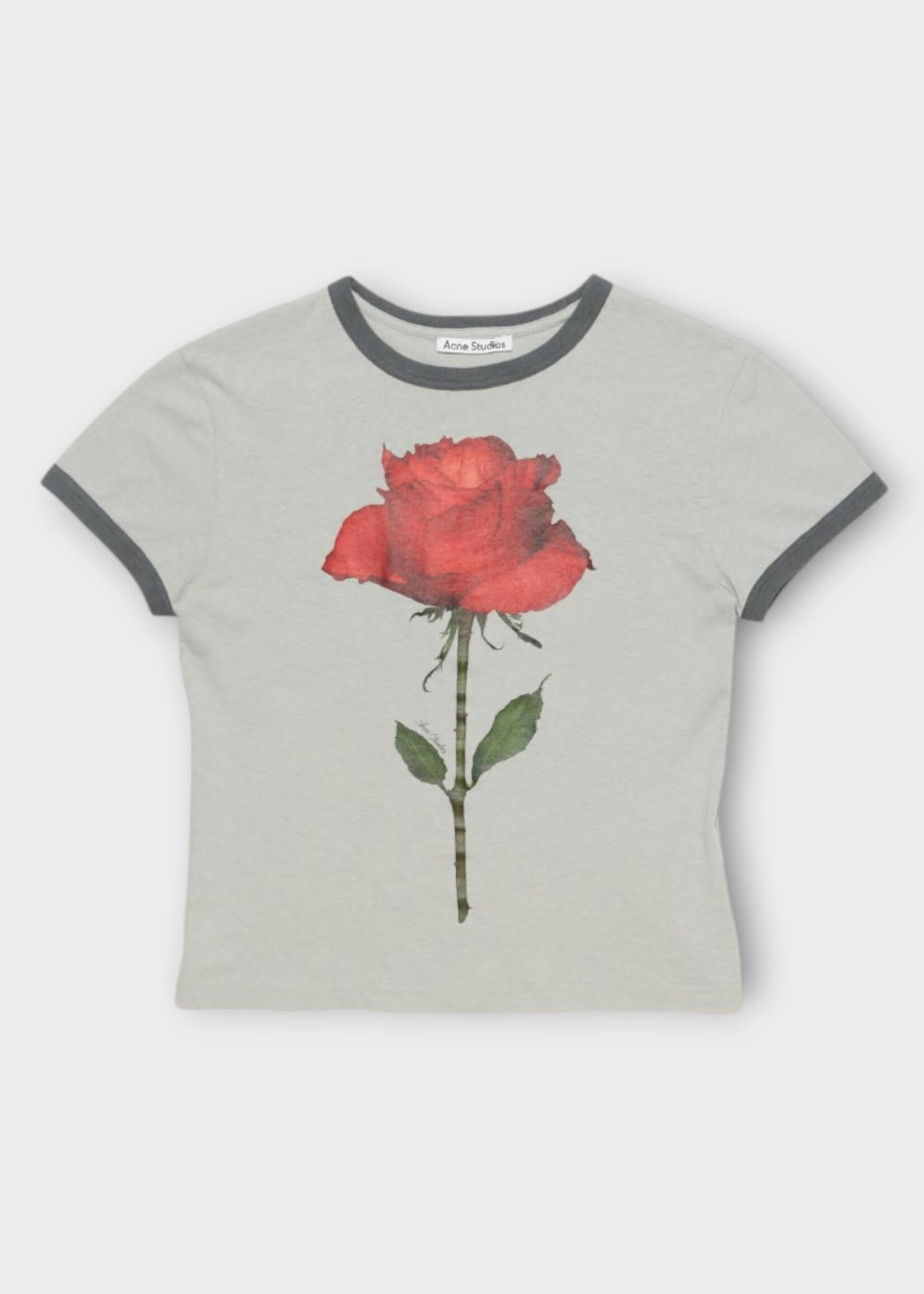 Acne Studio Acne Studio T-Shirt, Print, Cotton Crew Neck T-Shirt In Grey & Red w/ Rose Print