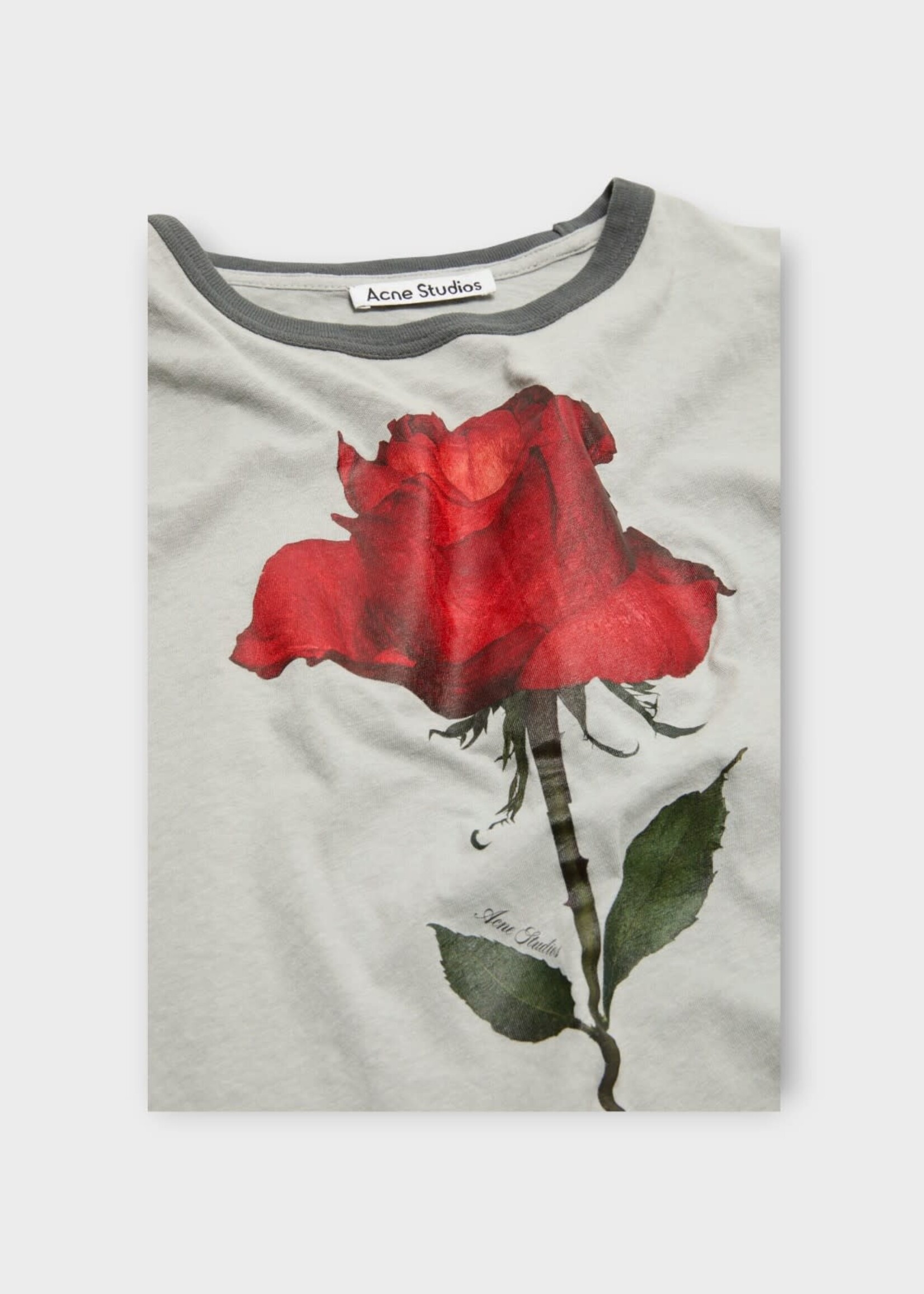 Acne Studio Acne Studio T-Shirt, Print, Cotton Crew Neck T-Shirt In Grey & Red w/ Rose Print