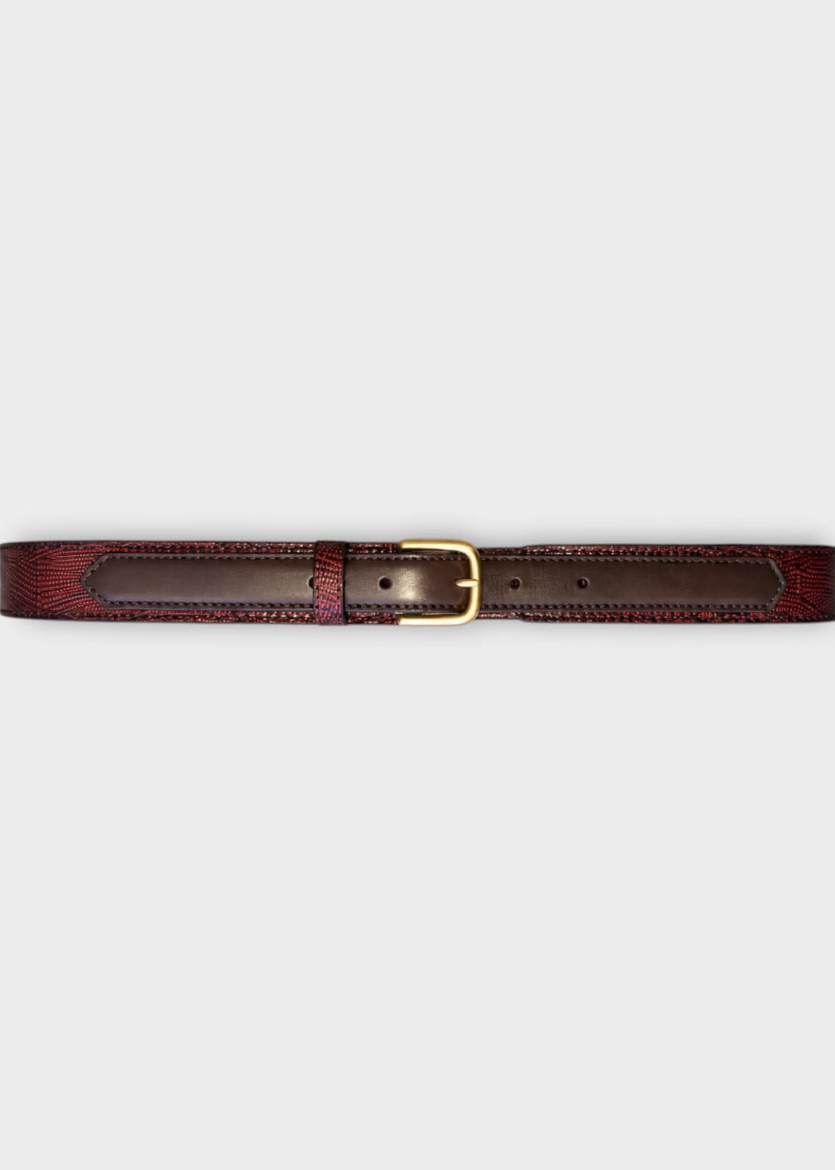 Dries Van Noten Dries Van Noten Belt, Red, Calf Leather Belt In Red w/ Gold Buckle