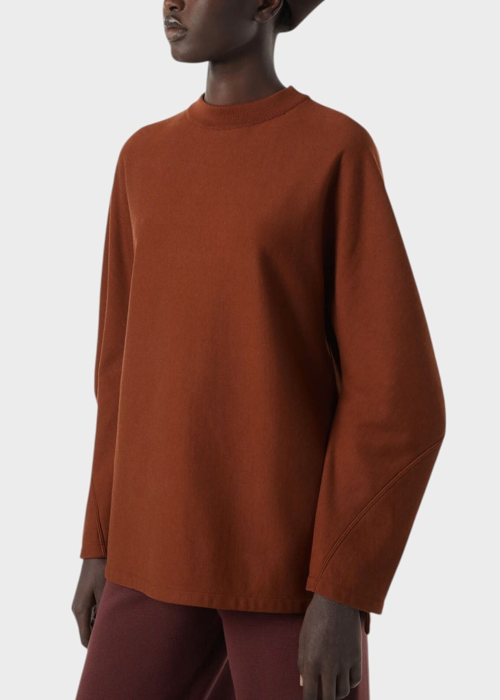 Loro Piana Loro Piana Knitwear, Brown, Neem Cashmere & Cotton Crewneck Sweatshirt In Sanguine Pencil