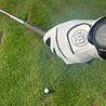 GolfRebels Golfhandschoen cabretta leer & lycra | dames GolfRebels Golfhandschoen cabretta leer & lycra | dames