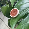 GolfRebels De GolfRebels ballmarker gemaakt van hout & leer GolfRebels De GolfRebels ballmarker gemaakt van hout & leer