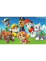 Paw Patrol team