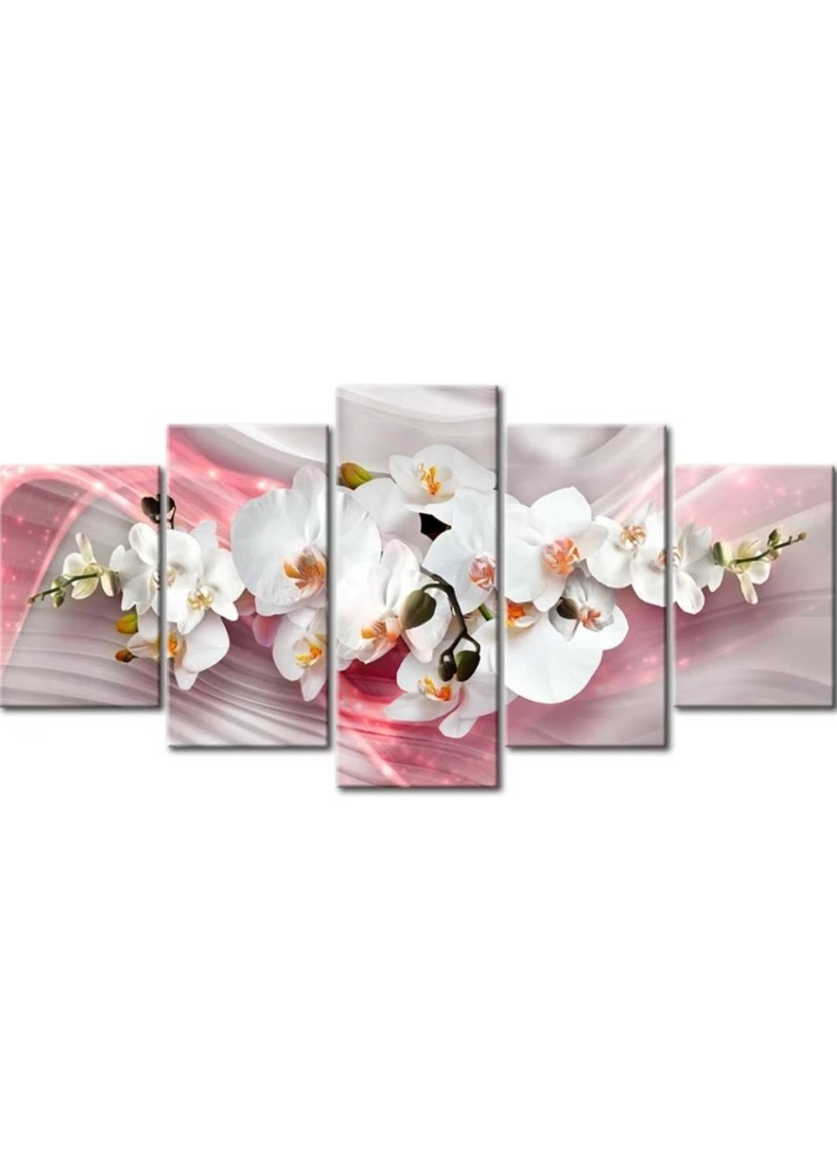 Vijfluik Orchideëen roze