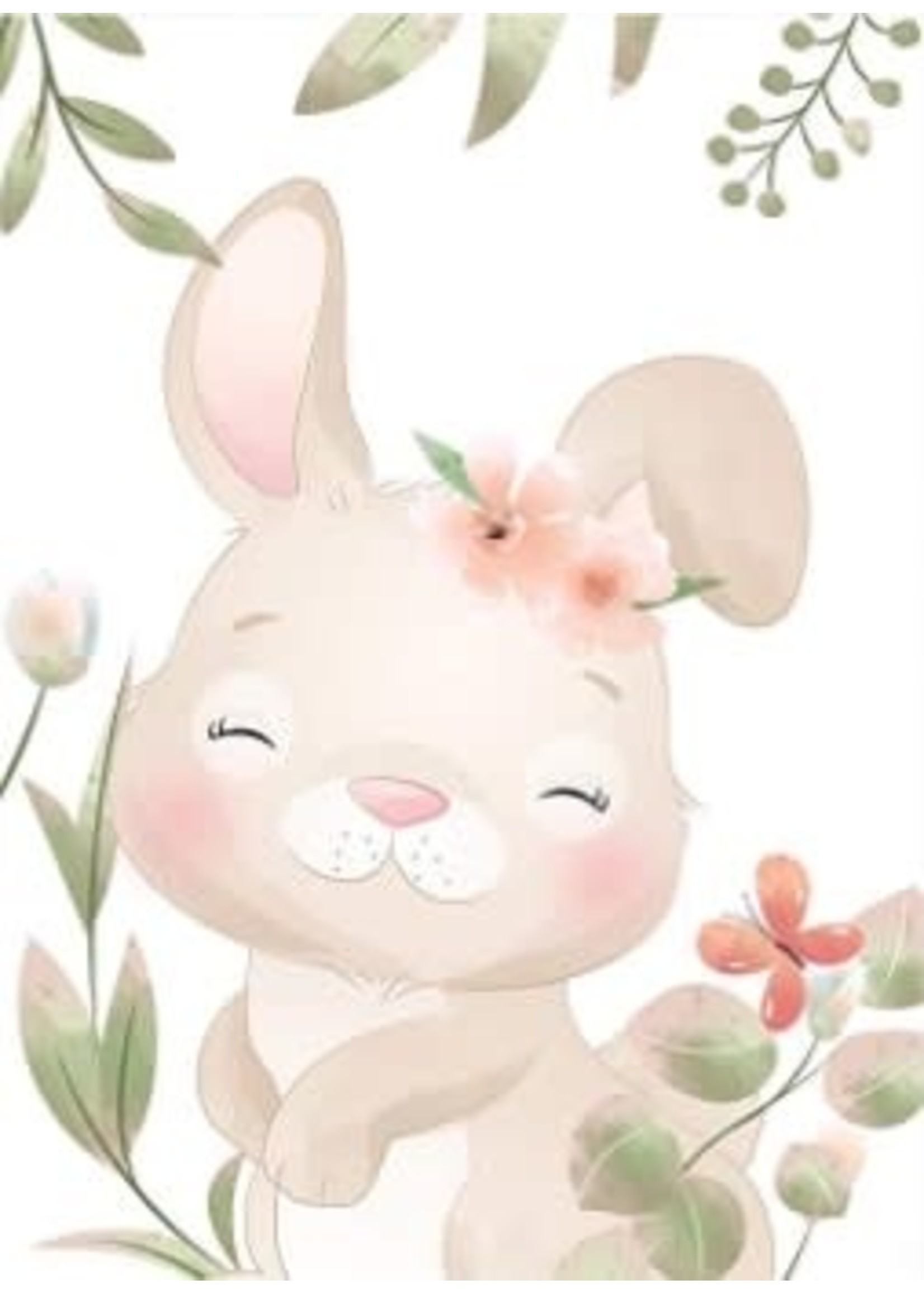 Baby Konijn