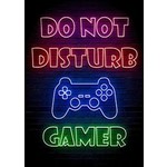 Do not Disturb, Gamer