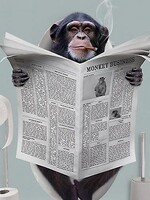 Aap met krant op toilet