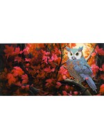 Wenskaart – Uilen 9 – uil met herfstzicht
