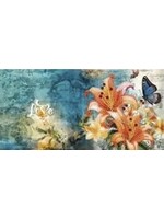 Pakket van 12 wenskaarten