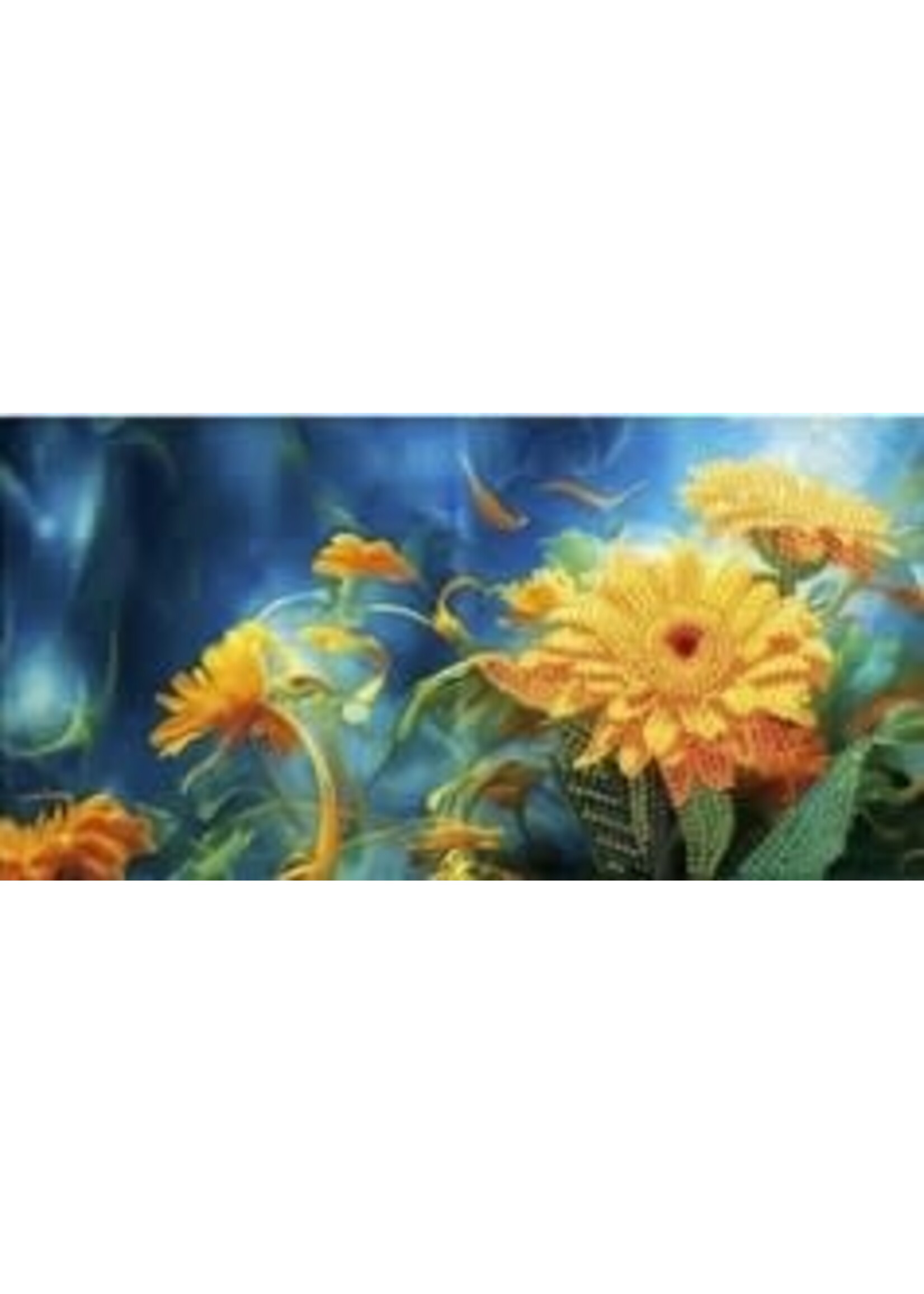 Pakket van 12 wenskaarten