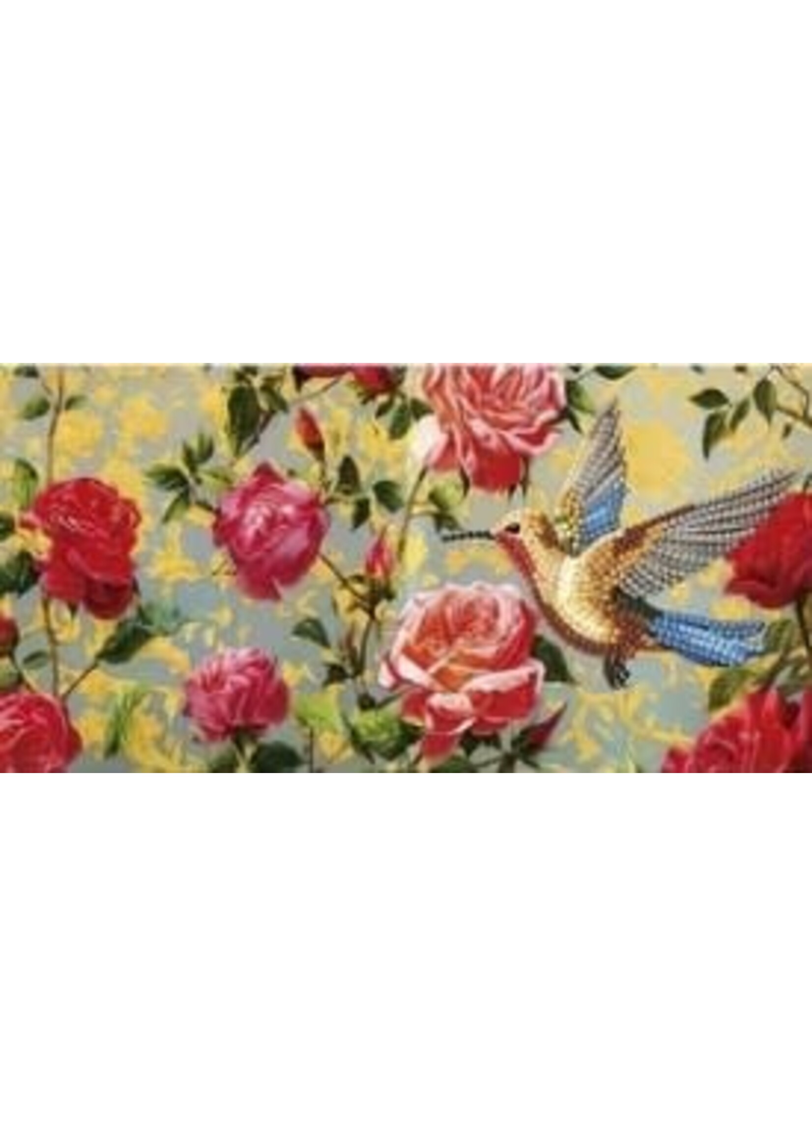 Pakket van 12 wenskaarten