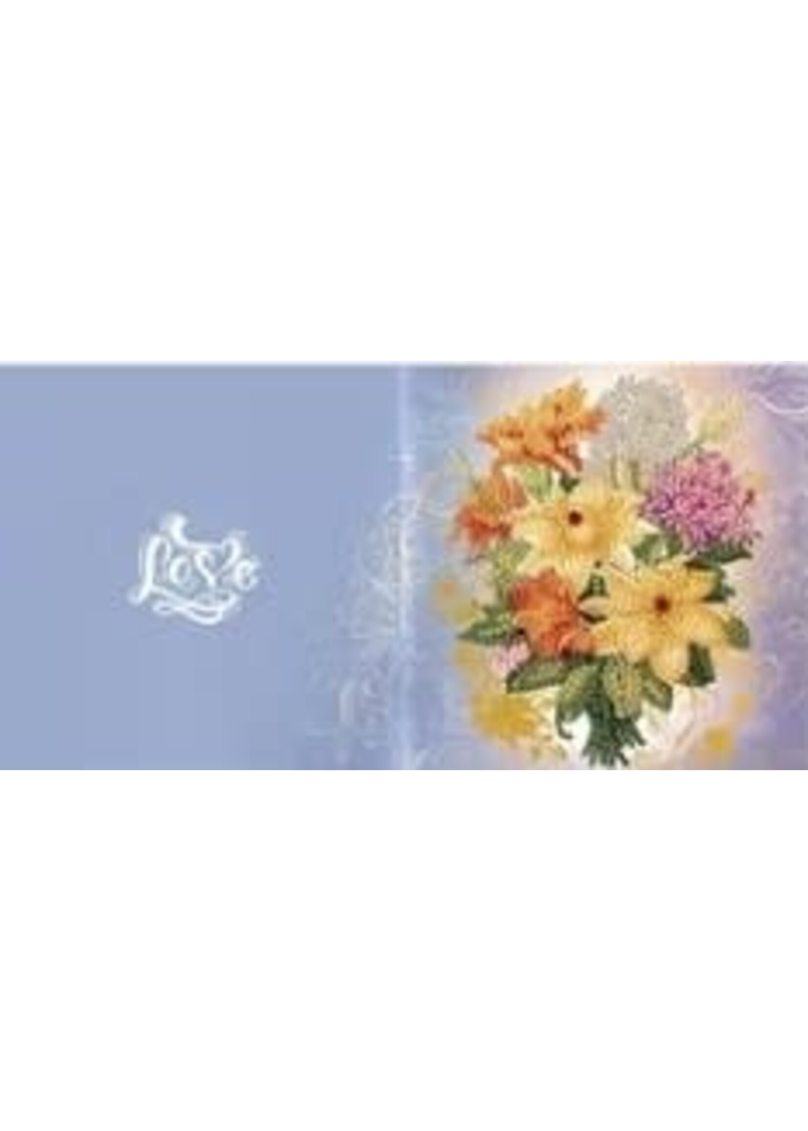 Pakket van 12 wenskaarten