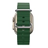 Bandz Bandz Correa Ocean Apple Watch (verde) Bandz Bandz Correa Ocean Apple Watch (verde)