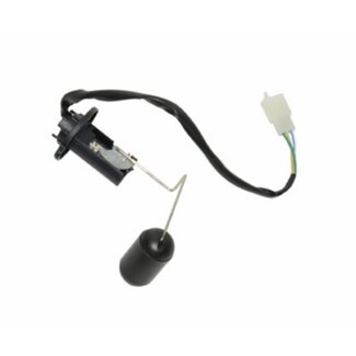 Benzhou benzinezender china retro/torino orig 100104000bz