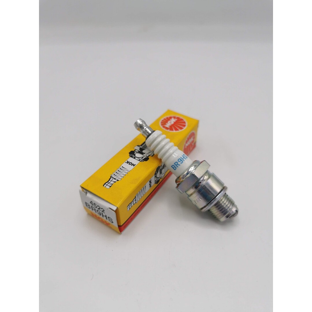 NGK Bougie NGK BR9HS