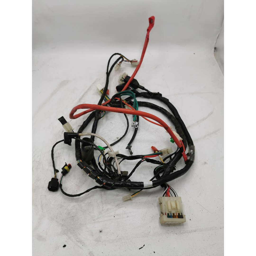 Peugeot Peugeot Tweet Evo 2020 Kabelboom euro4