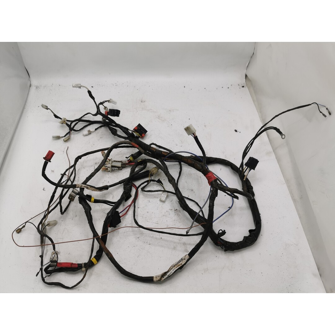 Piaggio Piaggio Liberty 4Takt 2008 / Kabelboom / Draadboom