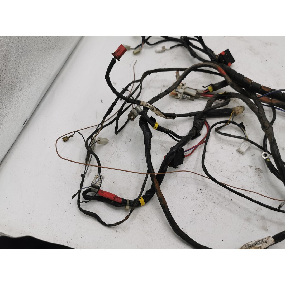 Piaggio Piaggio Liberty 4Takt 2008 / Kabelboom / Draadboom