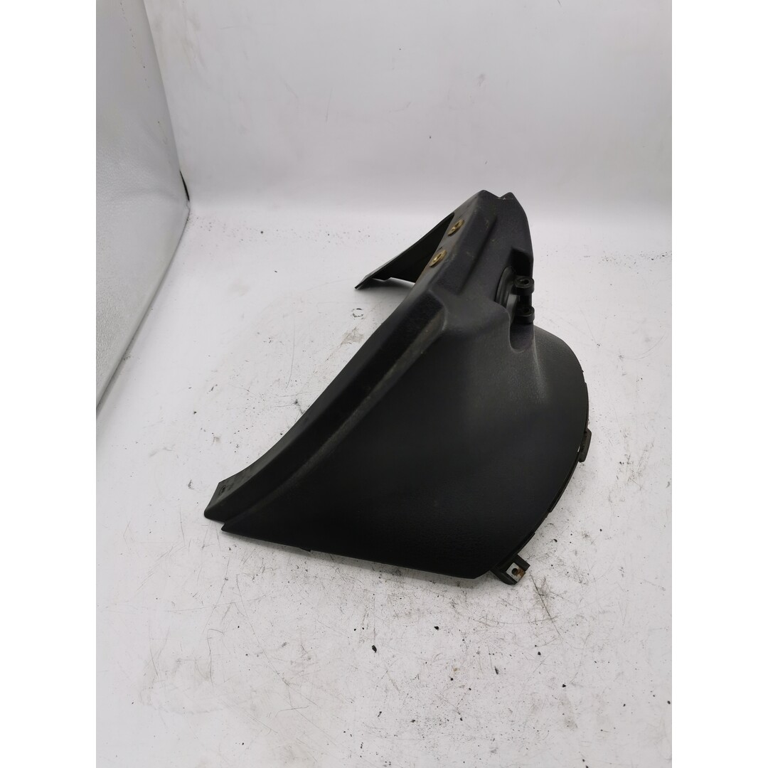 Piaggio Fly Piaggio Fly 2009 / Hakkap / Bodyscherm