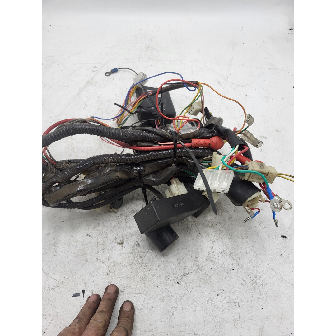 Znen Znen F22 2015 ZN50QT-32 / Kabelboom incl. aangesloten alarm