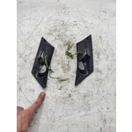 Piaggio Piaggio Zip euro 4 2020 / Knipperlicht Led Achter Smoke hoekje gebroken