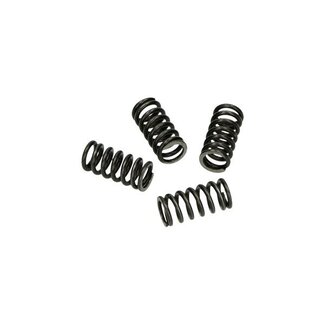 Malossi kopp.drukveerset minarelli am6 malossi 2912235 4pcs