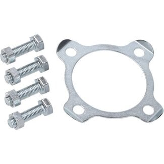 borgplaat + bout set achter tandwiel hercules prima