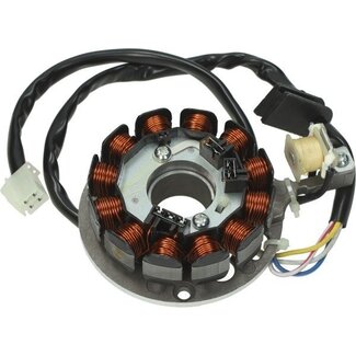 12-spoels Euro4/5 ontsteking AM6