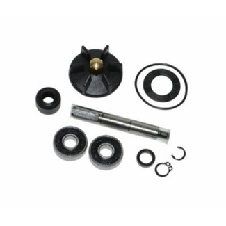 Piaggio revisieset waterpomp sco piaggio 2t DMP - Default