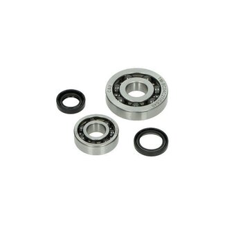 lager+keerringset 4t A-kwaliteit SCO piaggio 4t-2v DMP