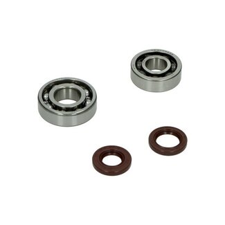 DMP lager+keerringset agi/ china4t/ sco gy6/ sco kym4t DMP