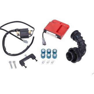 Piaggio ECU unitset euro-4 snel prima-eu4/sprint4t3v/zip 4t naraku nk390.55 bgm39055