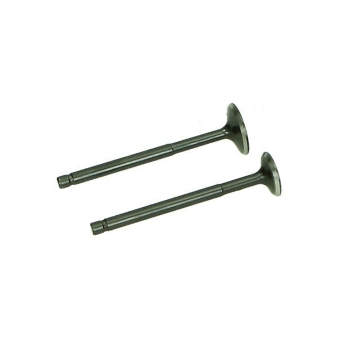 kleppenset set in-/uitlaat fid/mio/orb/xpro 2pcs