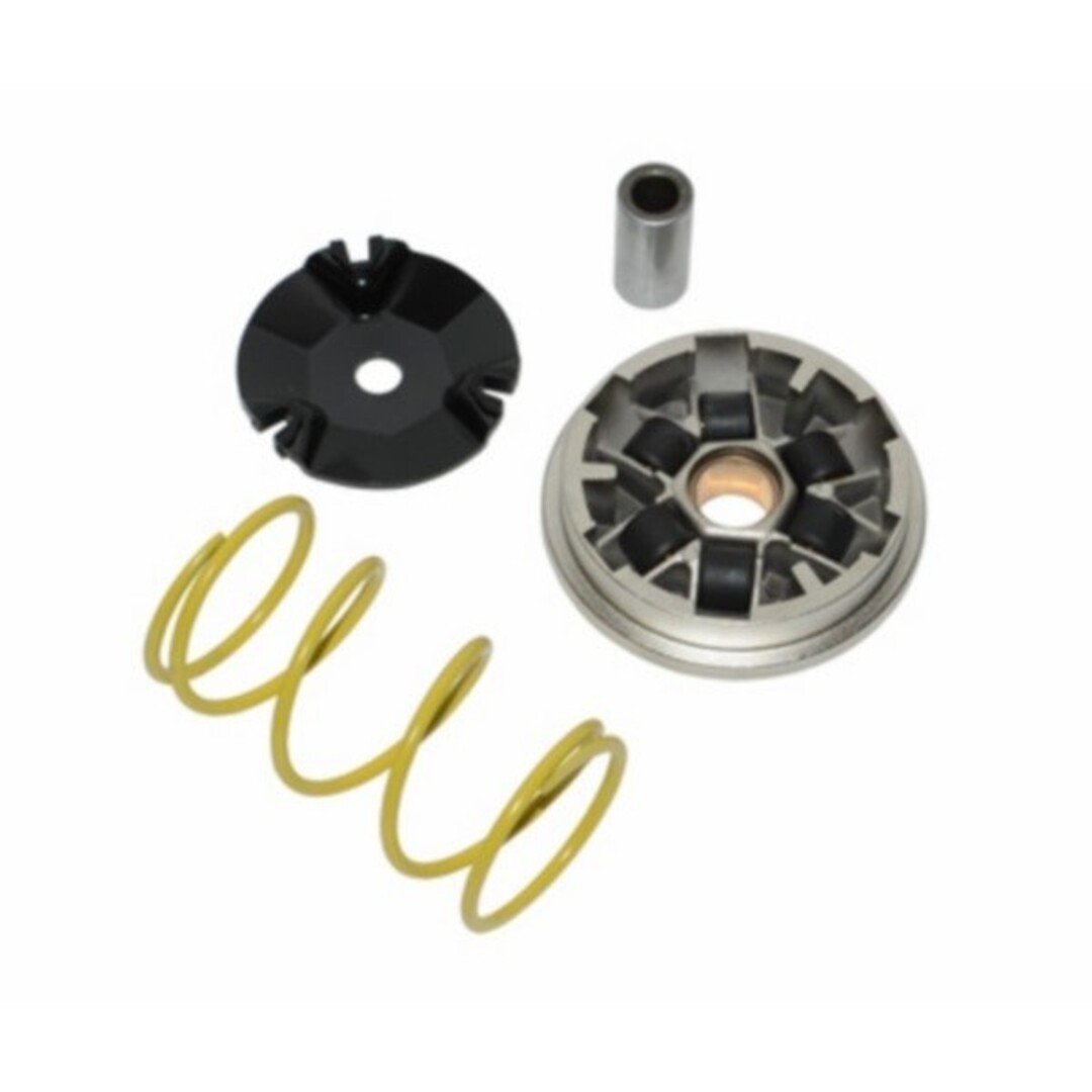 Peugeot variokit elyseo/elystar/jet force/loox/lud/spf/spf3/viva/viva>08-2t DMP