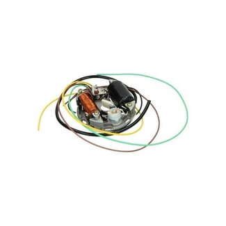 Puch ontsteking mod. bosch 6v 15/5-3W kreid/puch/zun DMP - Default