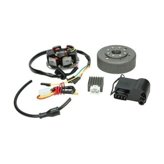 Sachs ontsteking compleet electronisch (imitatie kokusan) kreid/sachs/zun DMP - Default