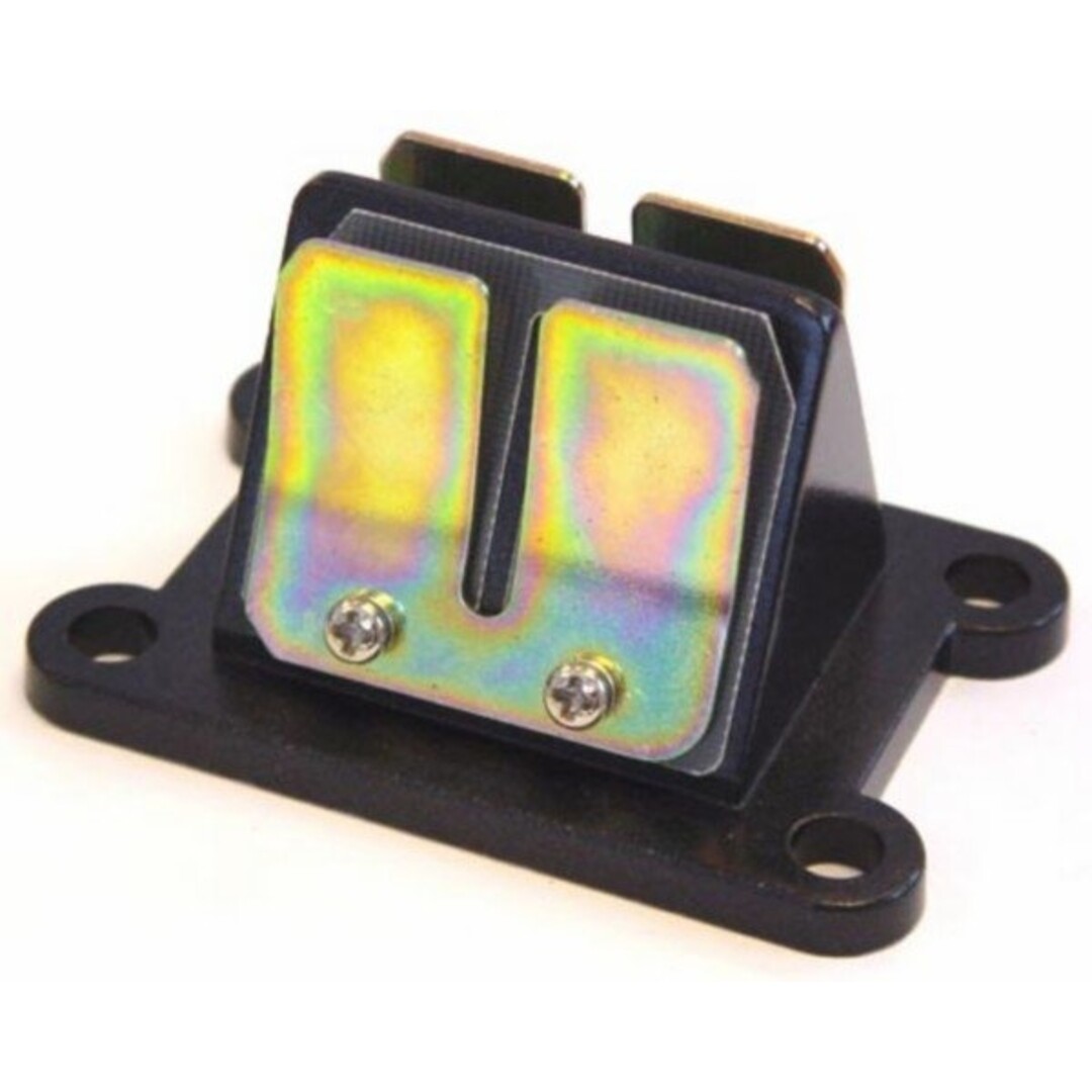 membraan minarelli am6 DMP