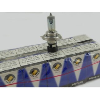 lamp 12V 60/55W xenon h4 flosser