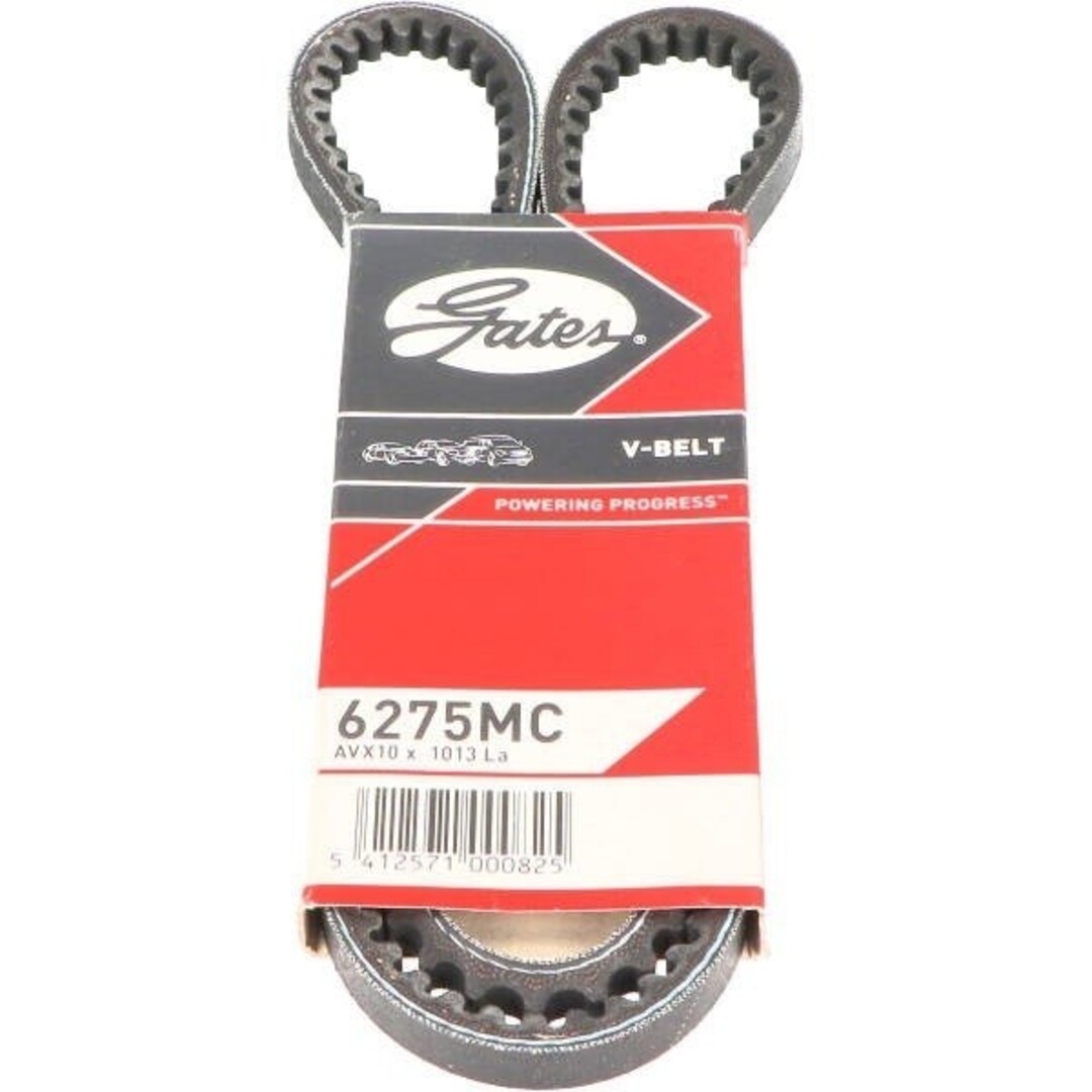 v-snaar ciao/citta 1013mm