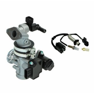 injectie systeem compleet (zonder ECU) rongmao DMP