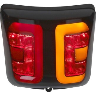 achterlicht led + raw tube matt zwart E-keur gts125/gts250/gts300 smoke Power1