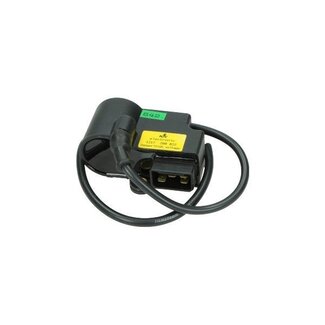 Originele Bosch bobine Kreidler/Zündapp