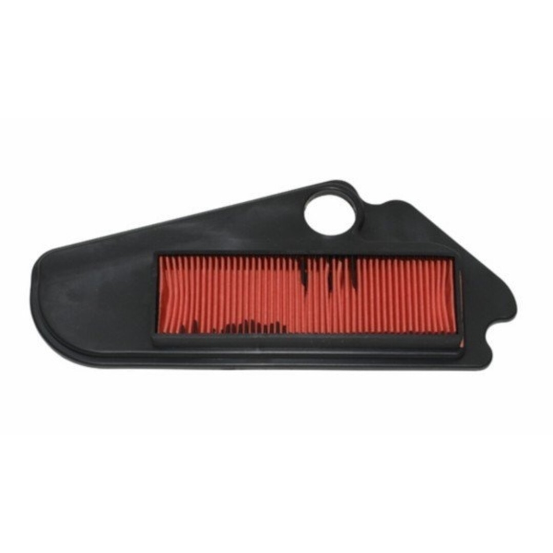 luchtfilterelement agility 12inch DMP