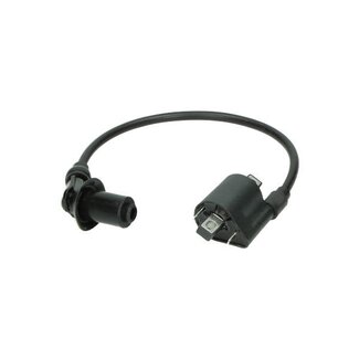 DMP bobine euro-4 compleet china4t/ sco sym4t