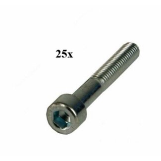 bout inbus m6x30mm 25pcs